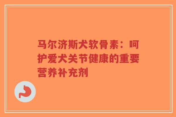 马尔济斯犬软骨素：呵护爱犬关节健康的重要营养补充剂